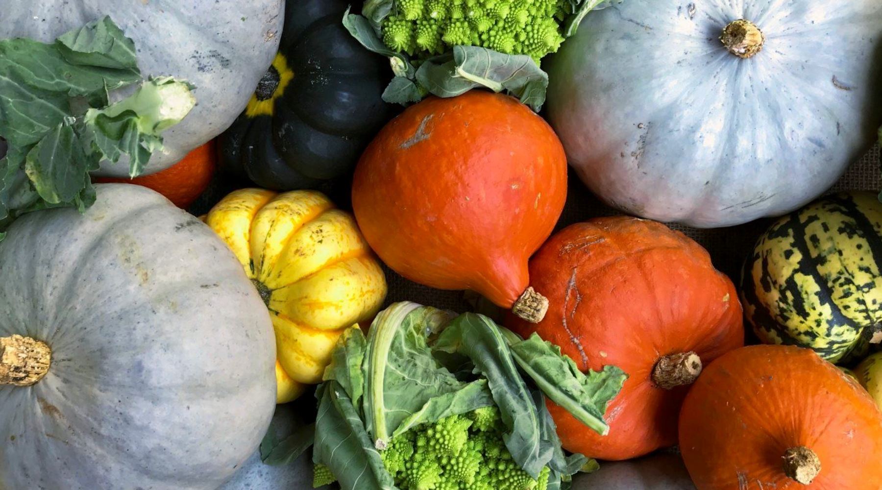 3 Foods That Hydrate Your Skin From The Inside Out