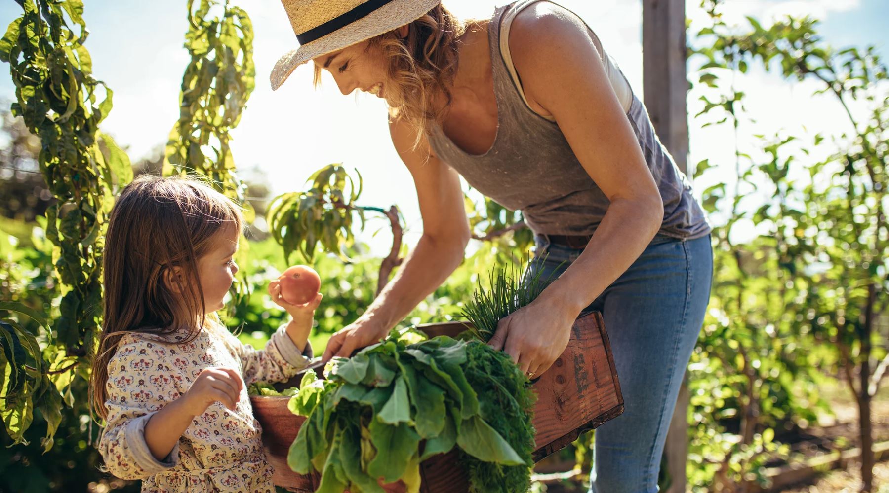 Why You Should Embrace An Organic Lifestyle