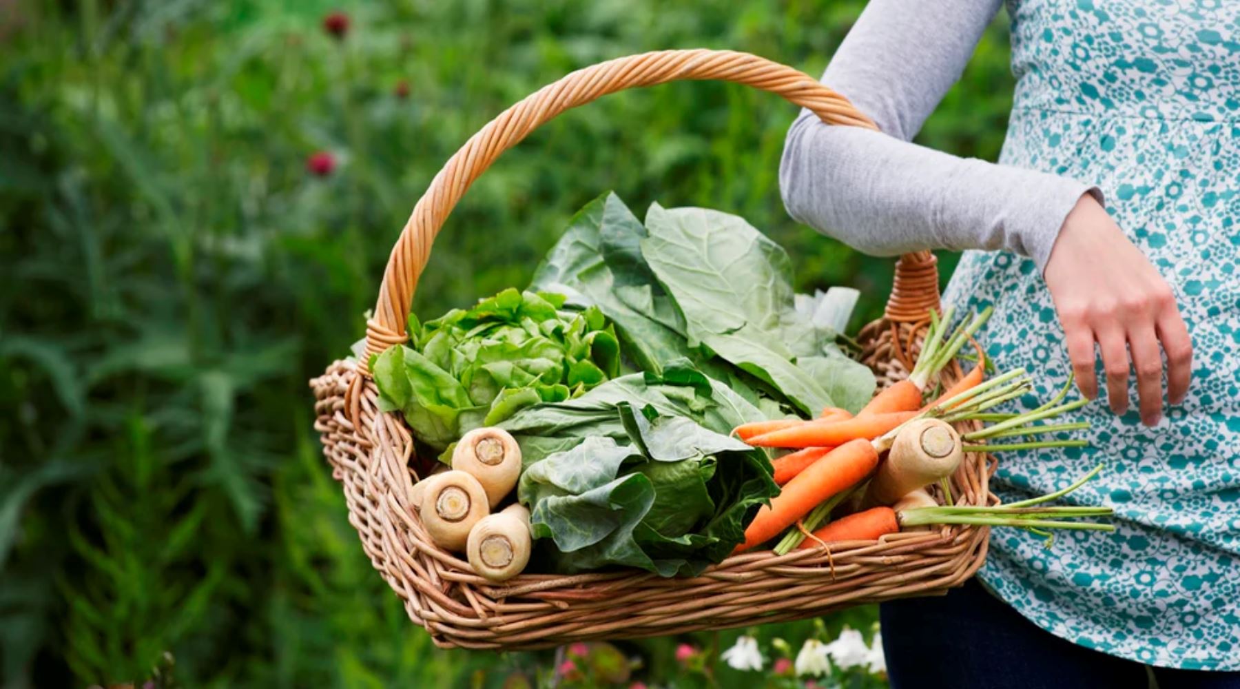Skin Boosting Seasonal Foods