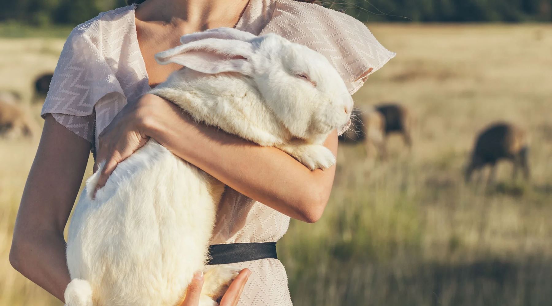 6 Tips For Switching To Cruelty Free Skincare