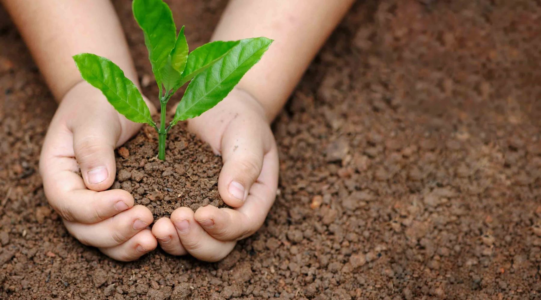 Five Simple Ways you can Help Mother Earth