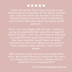 Tone + Hydrate, Replenish + Protect Bundle Bundle Baie Botanique USA | Organic and Vegan Skincare 